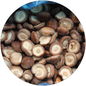 Frozen Shiitake Mushroom IQF Shiitake mushrooms